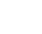 Logo Fondazione Comoli Ferrari